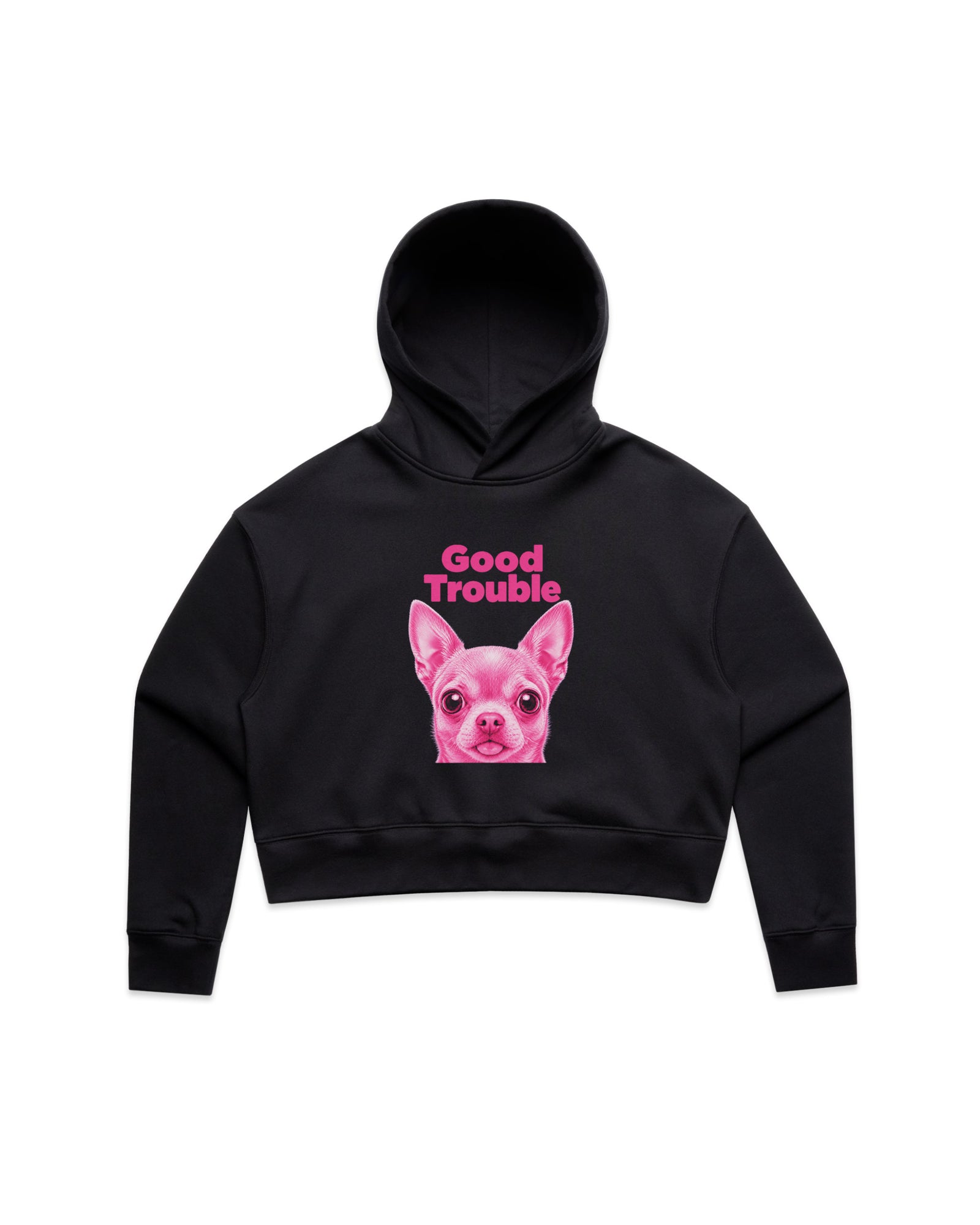 Good Trouble Crop Hoodie