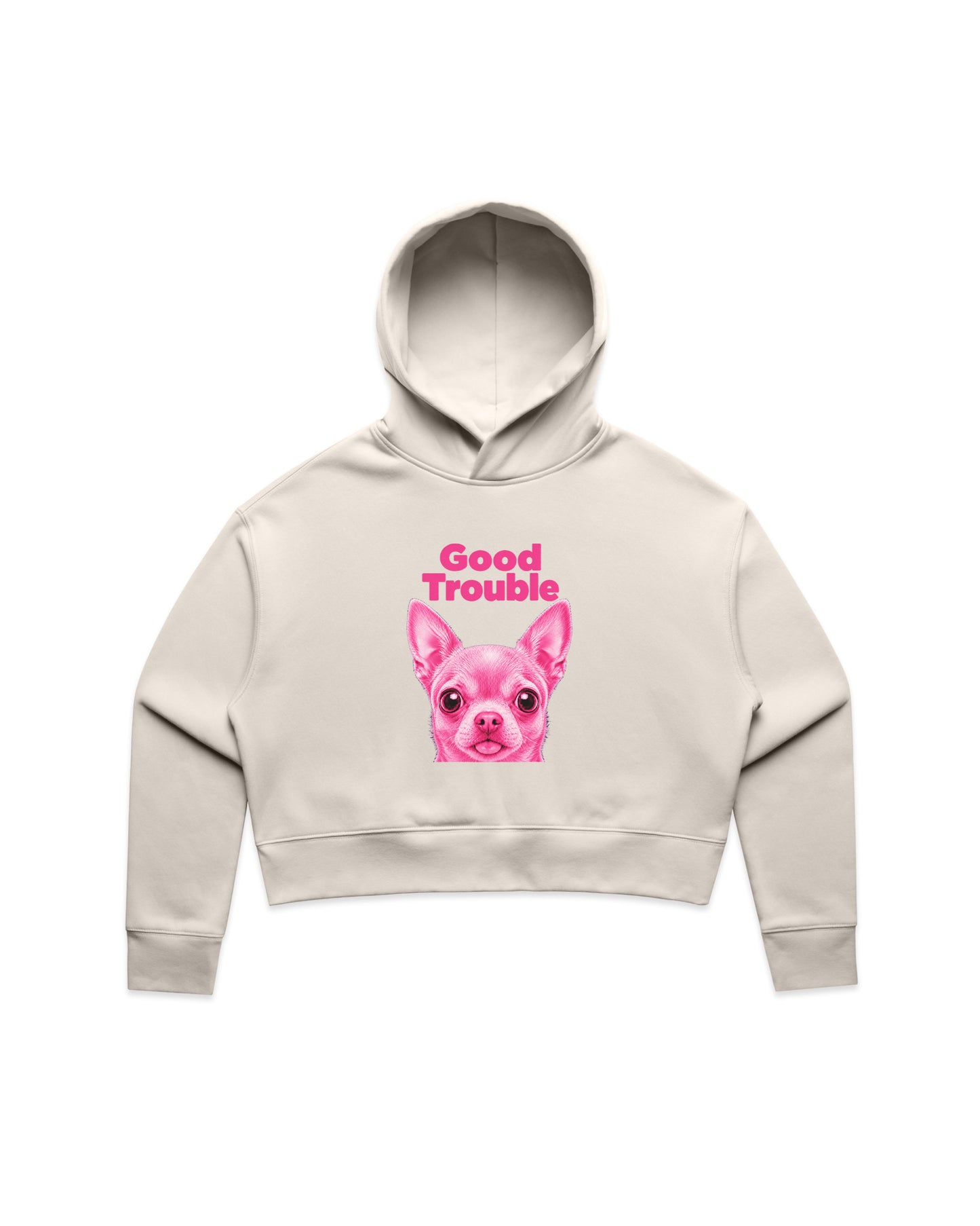 Good Trouble Crop Hoodie