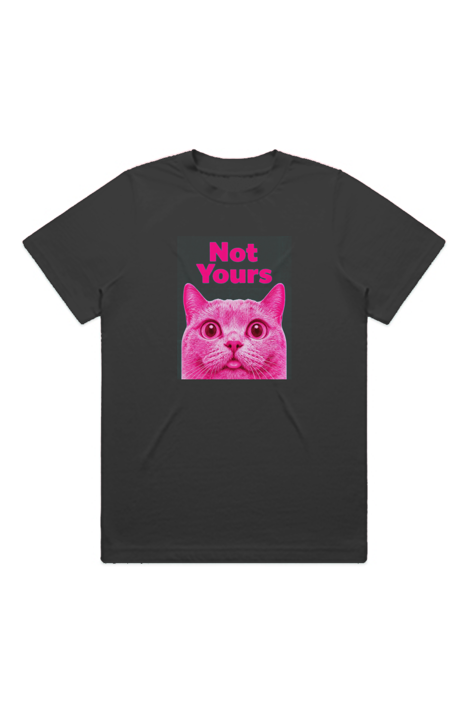 Not Yours Cat Tee